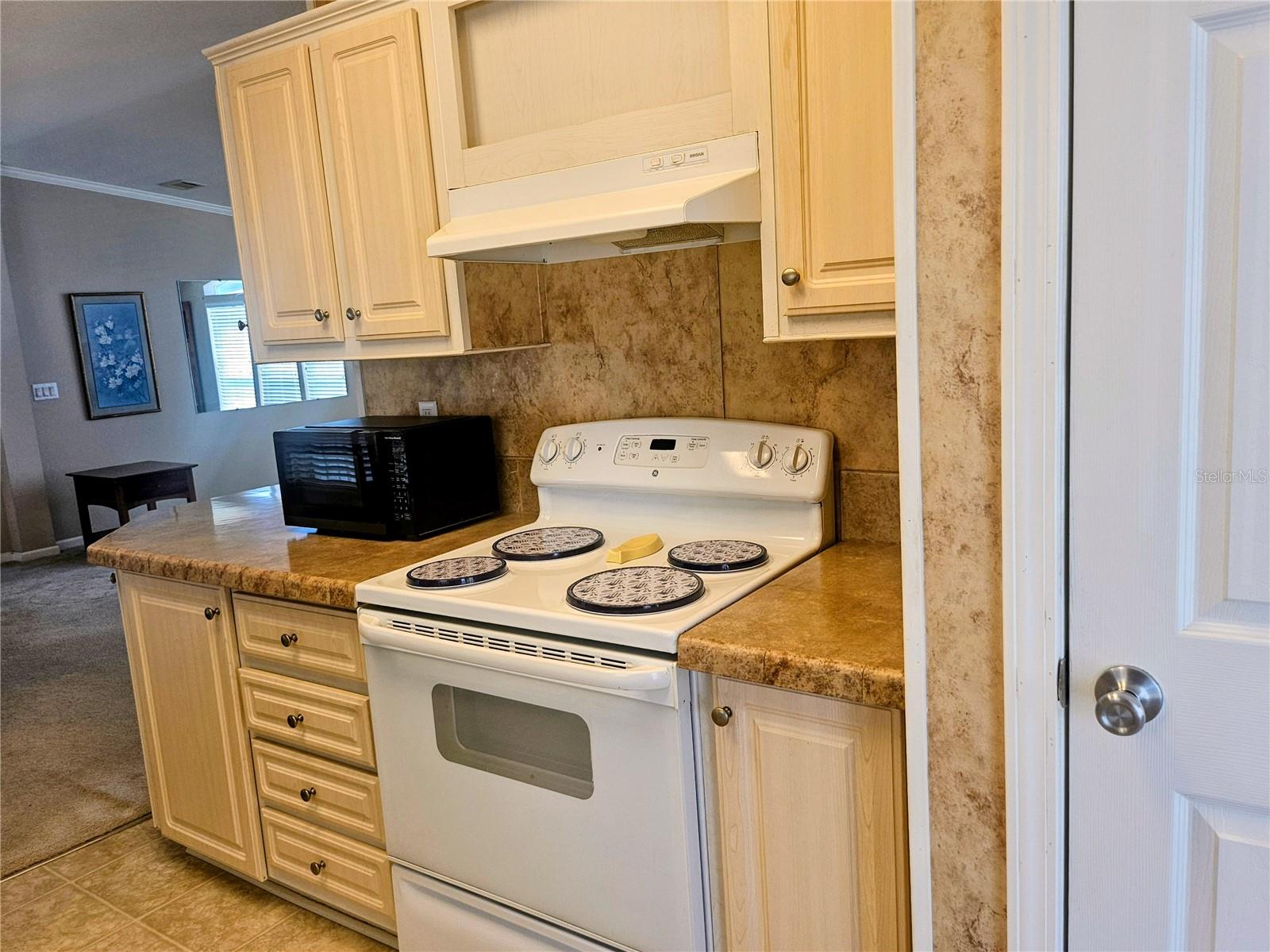 3319 OVERCUP OAK TER — photo 19