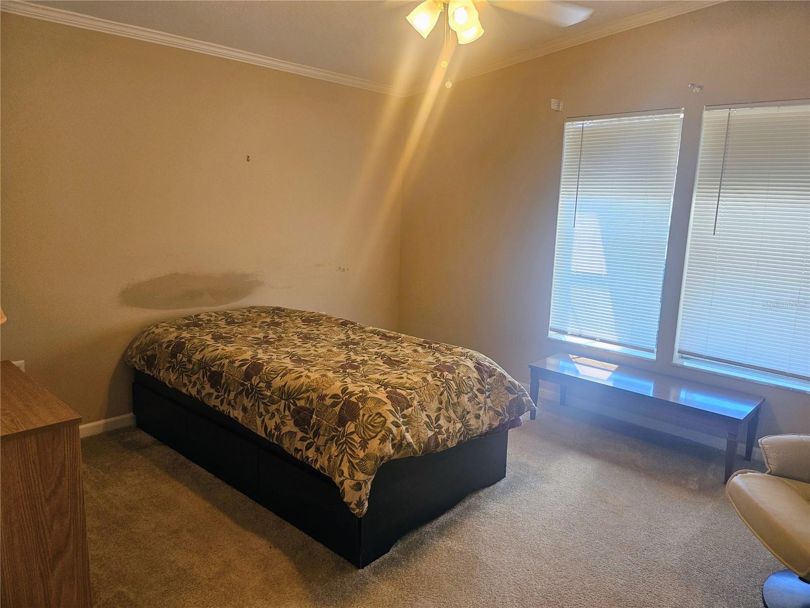 3319 OVERCUP OAK TER — photo 38