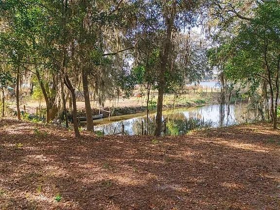 8807 OVERLOOK DR — photo 7