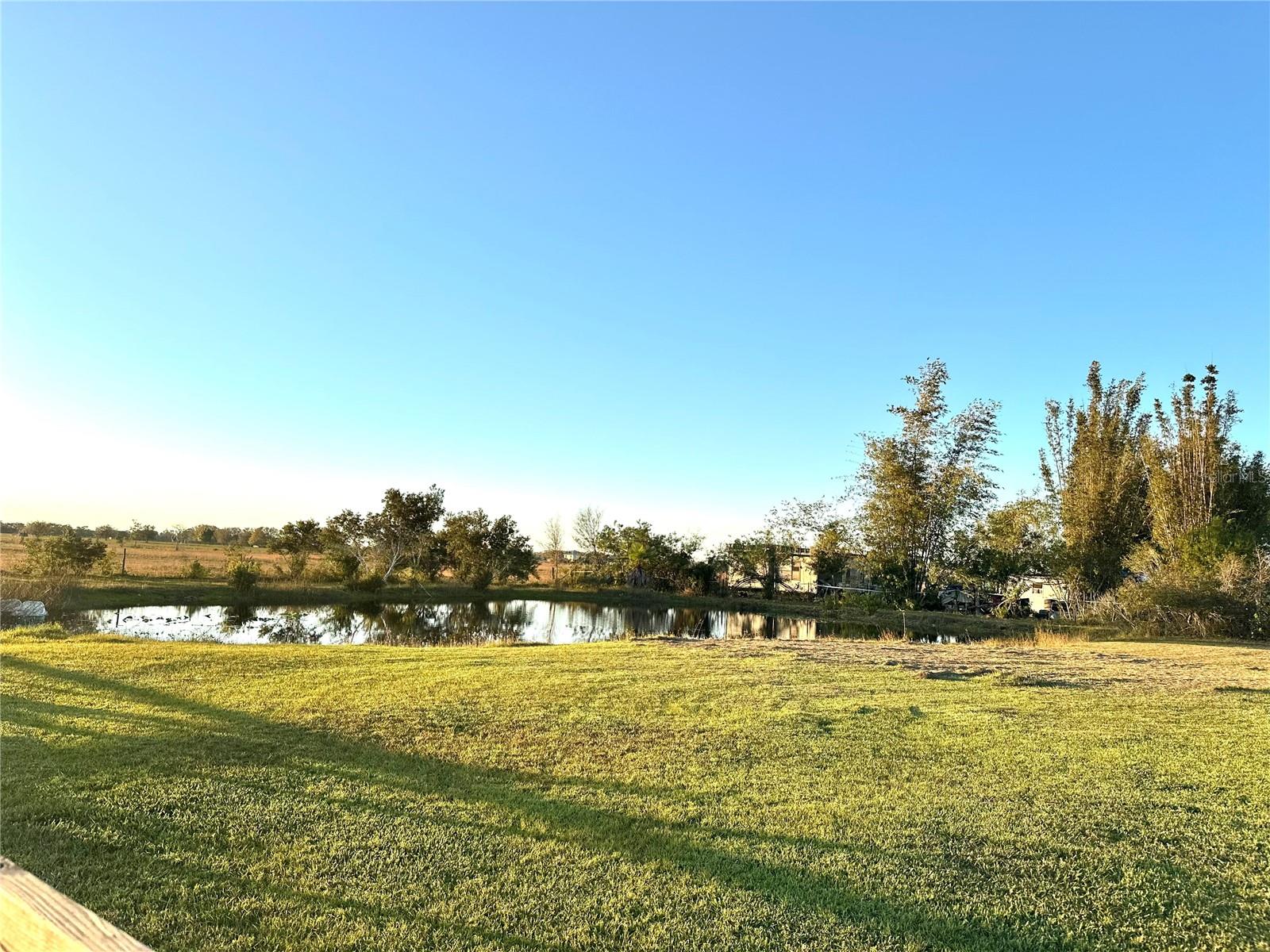 35495 SINGLETARY RD — photo 45