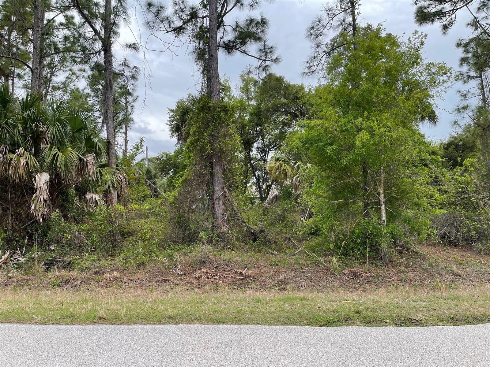 Lot 15 ANANAS RD — photo 6
