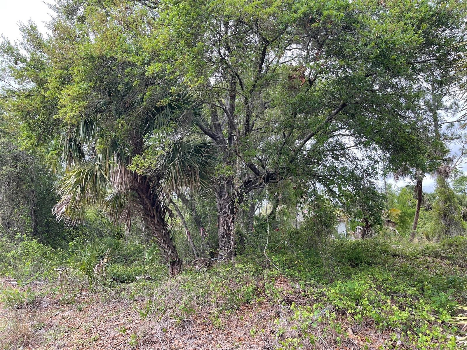 Lot 15 ANANAS RD — photo 4