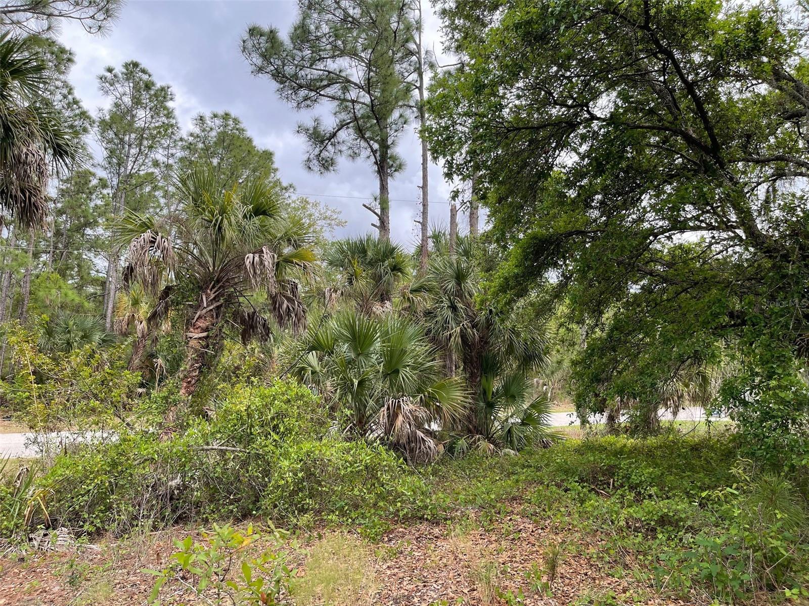 Lot 15 ANANAS RD — photo 8