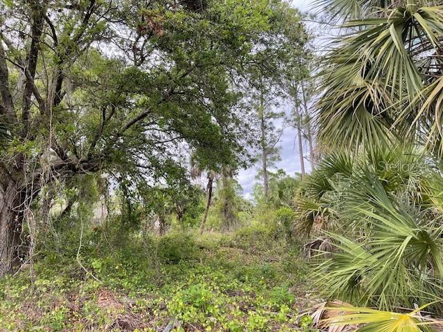 Lot 15 ANANAS RD — photo 3