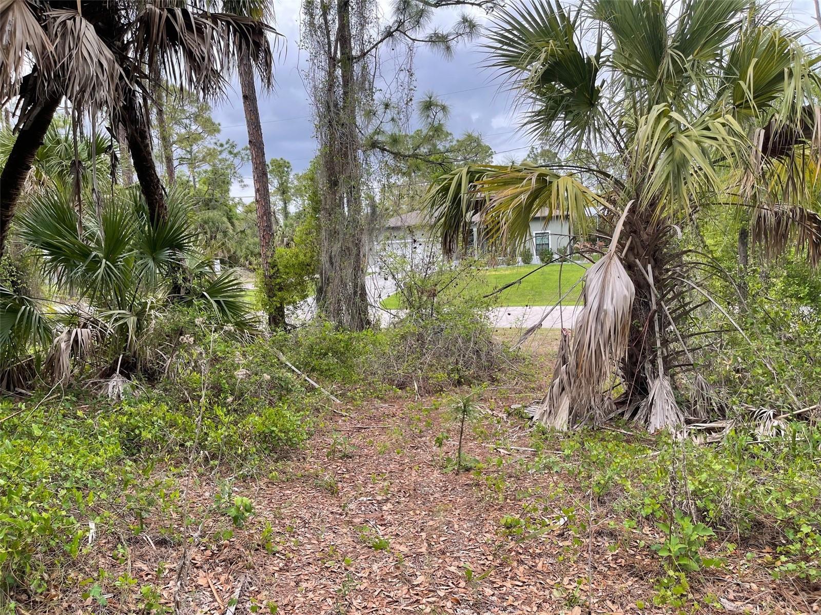 Lot 15 ANANAS RD — photo 7