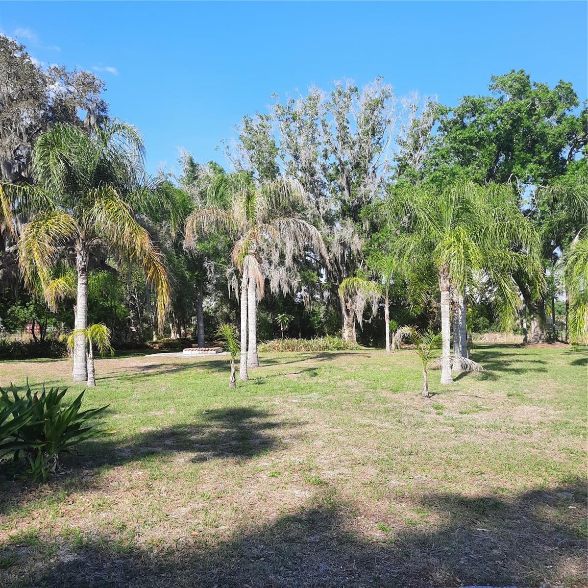 10502 HINDS PL — photo 8