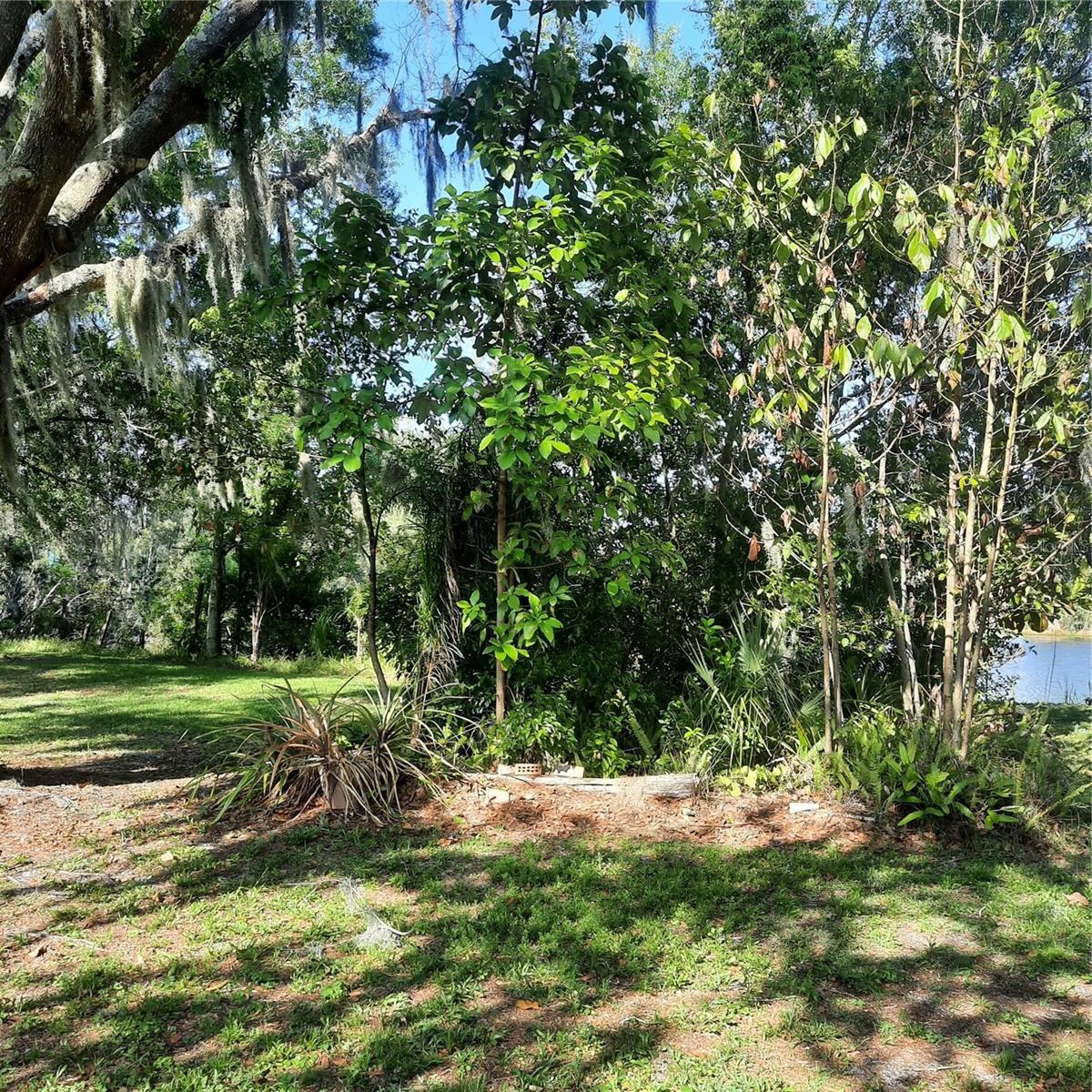 10502 HINDS PL — photo 5