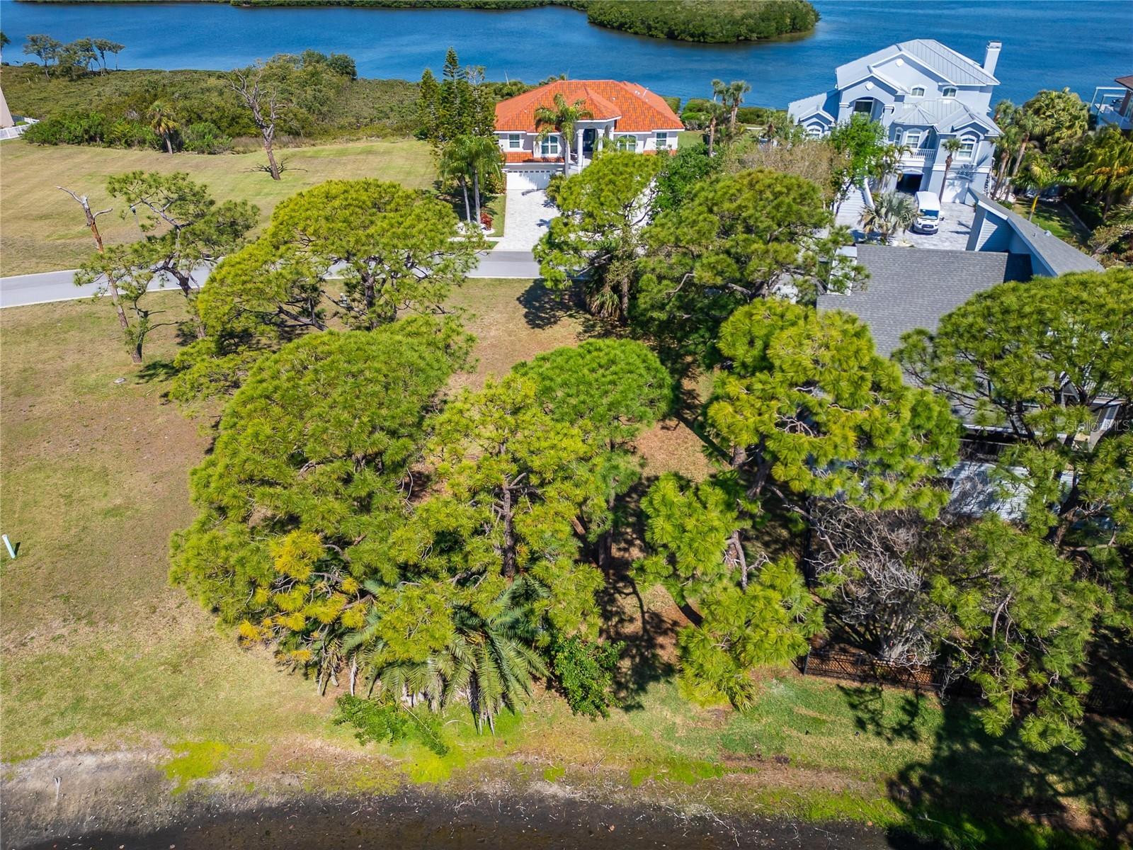 N POINTE ALEXIS DR — photo 19