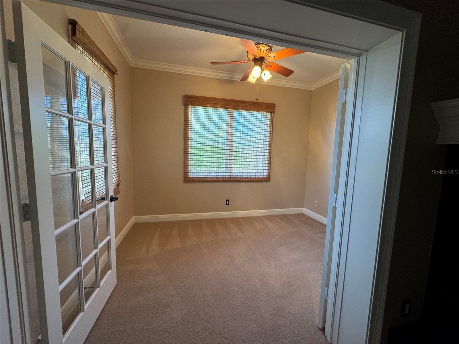 644 SAXONY BLVD — photo 10