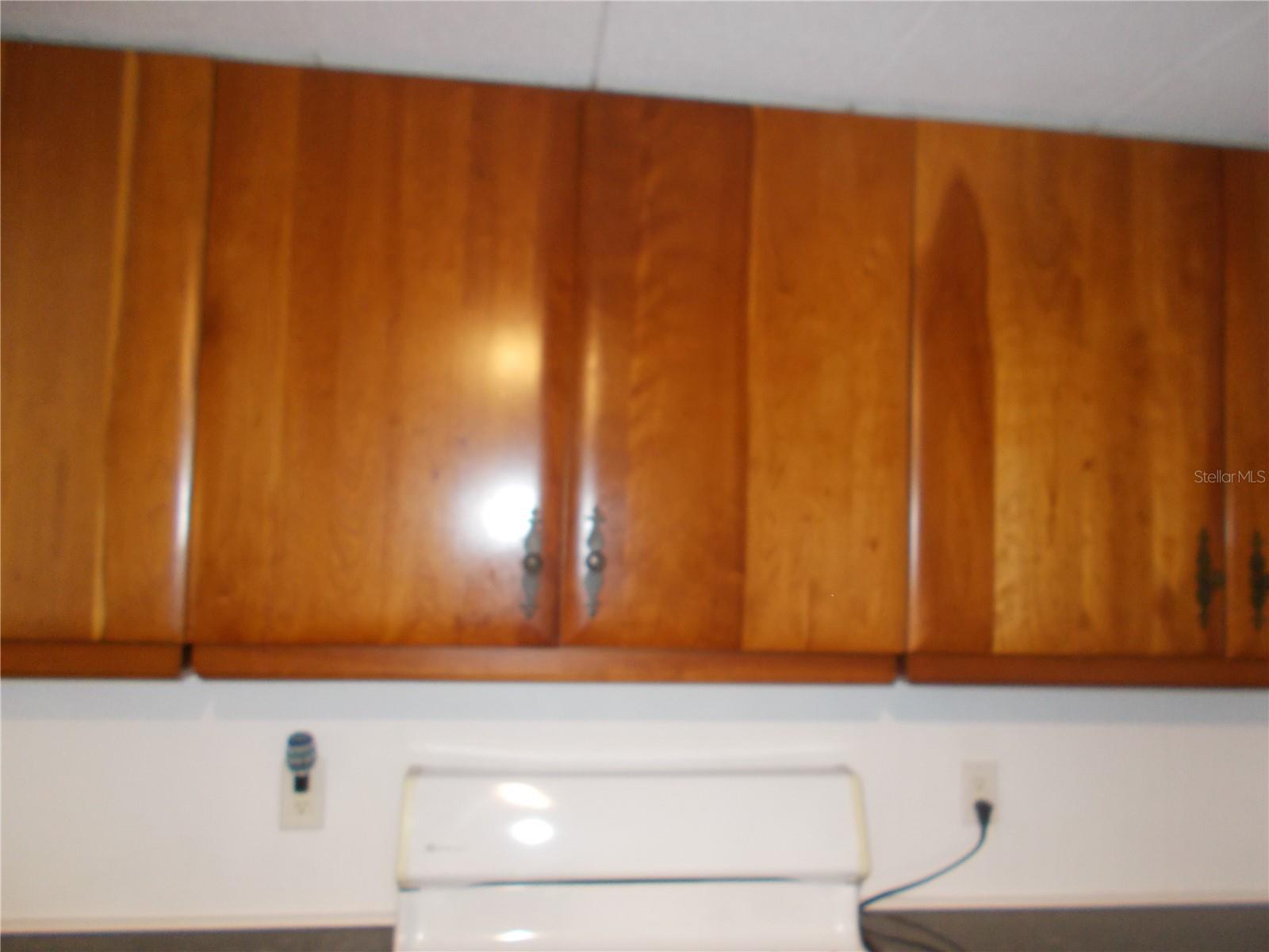 5039 PALENA BLVD — photo 5