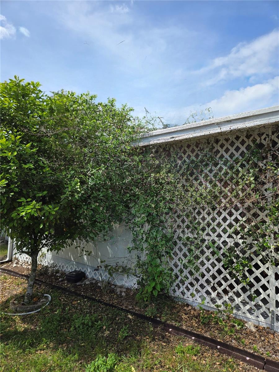 39326 RECESS DR — photo 21