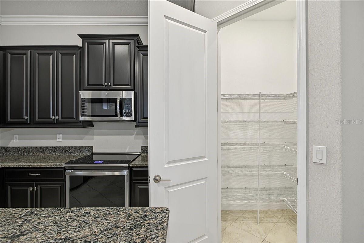 8099 LAGO MIST WAY — photo 21