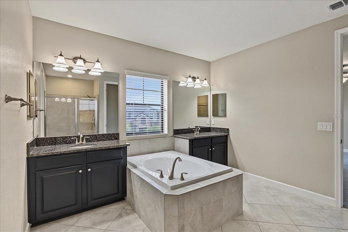 8099 LAGO MIST WAY — photo 39
