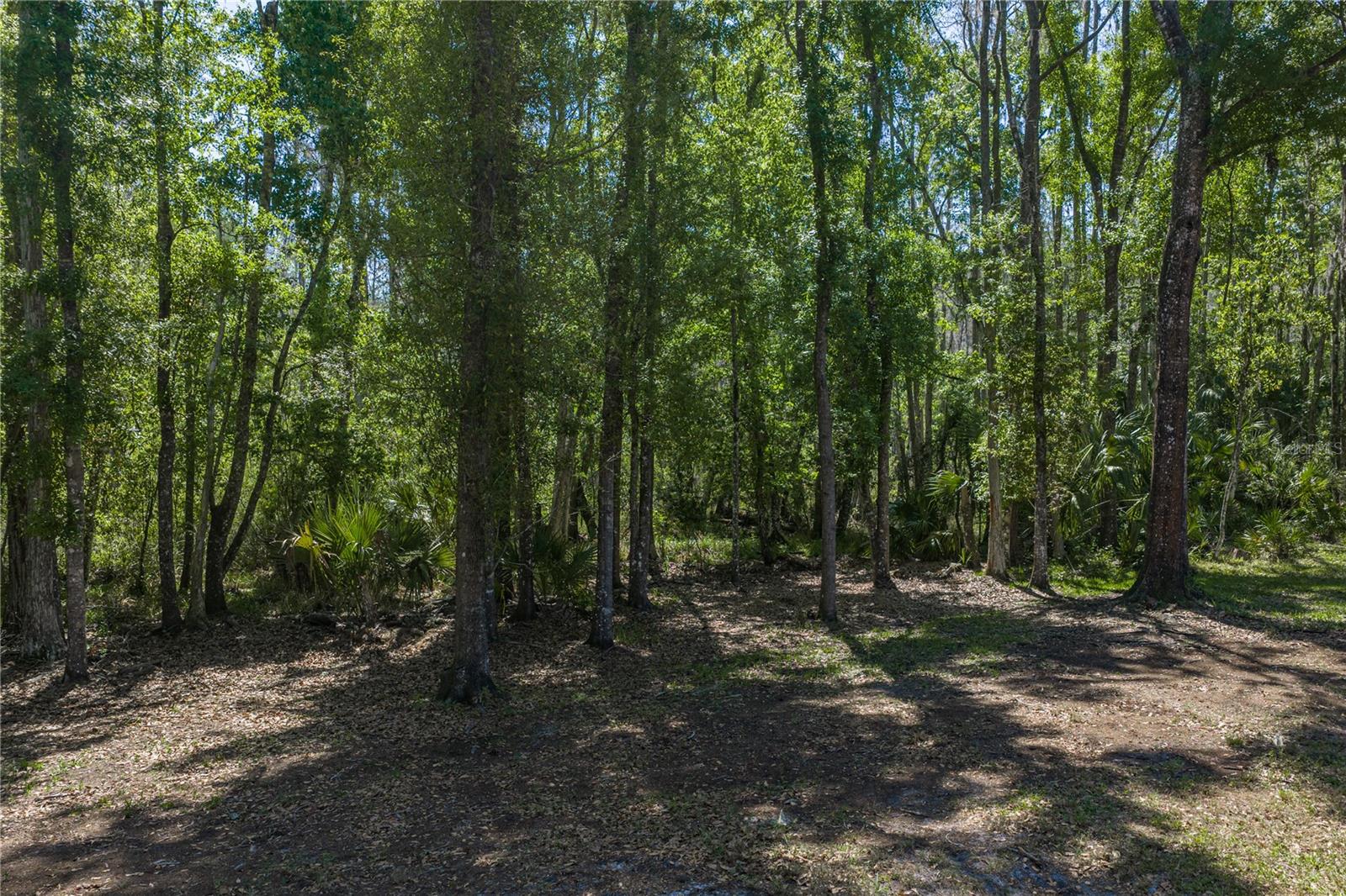 8600 SHENANDOAH RUN — photo 49