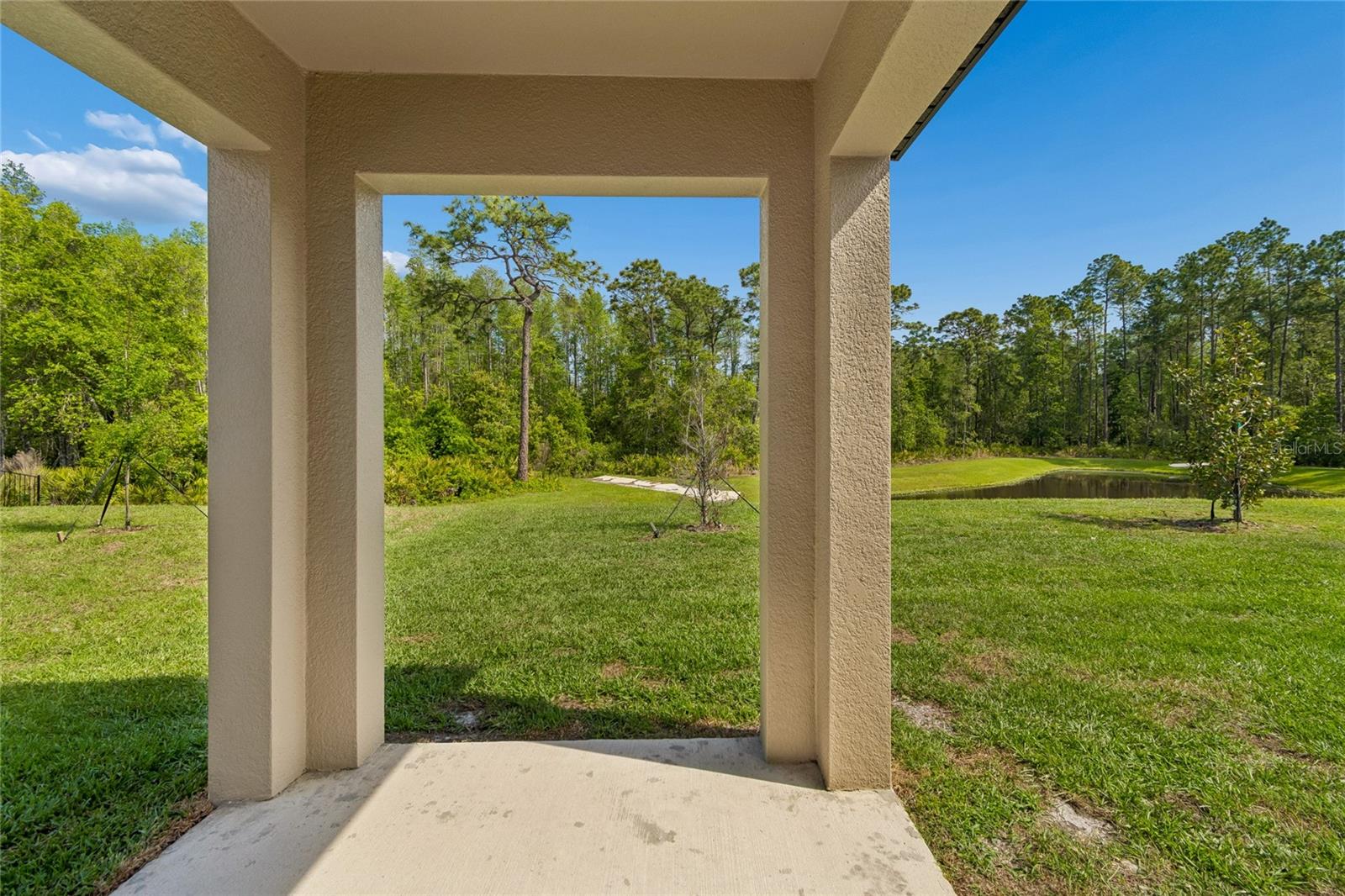 10065 GENTLE RAIN DR — photo 38