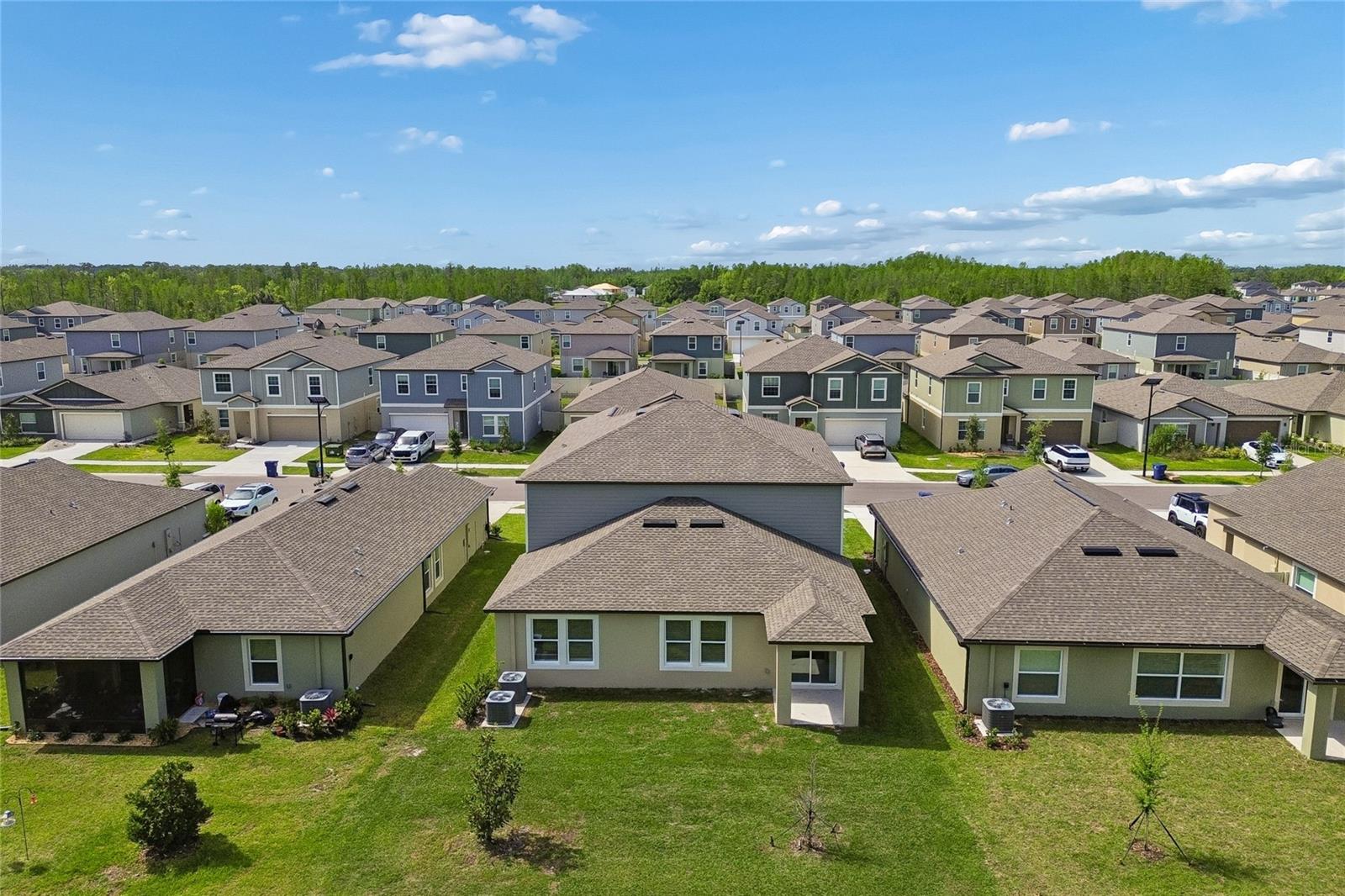 10065 GENTLE RAIN DR — photo 42