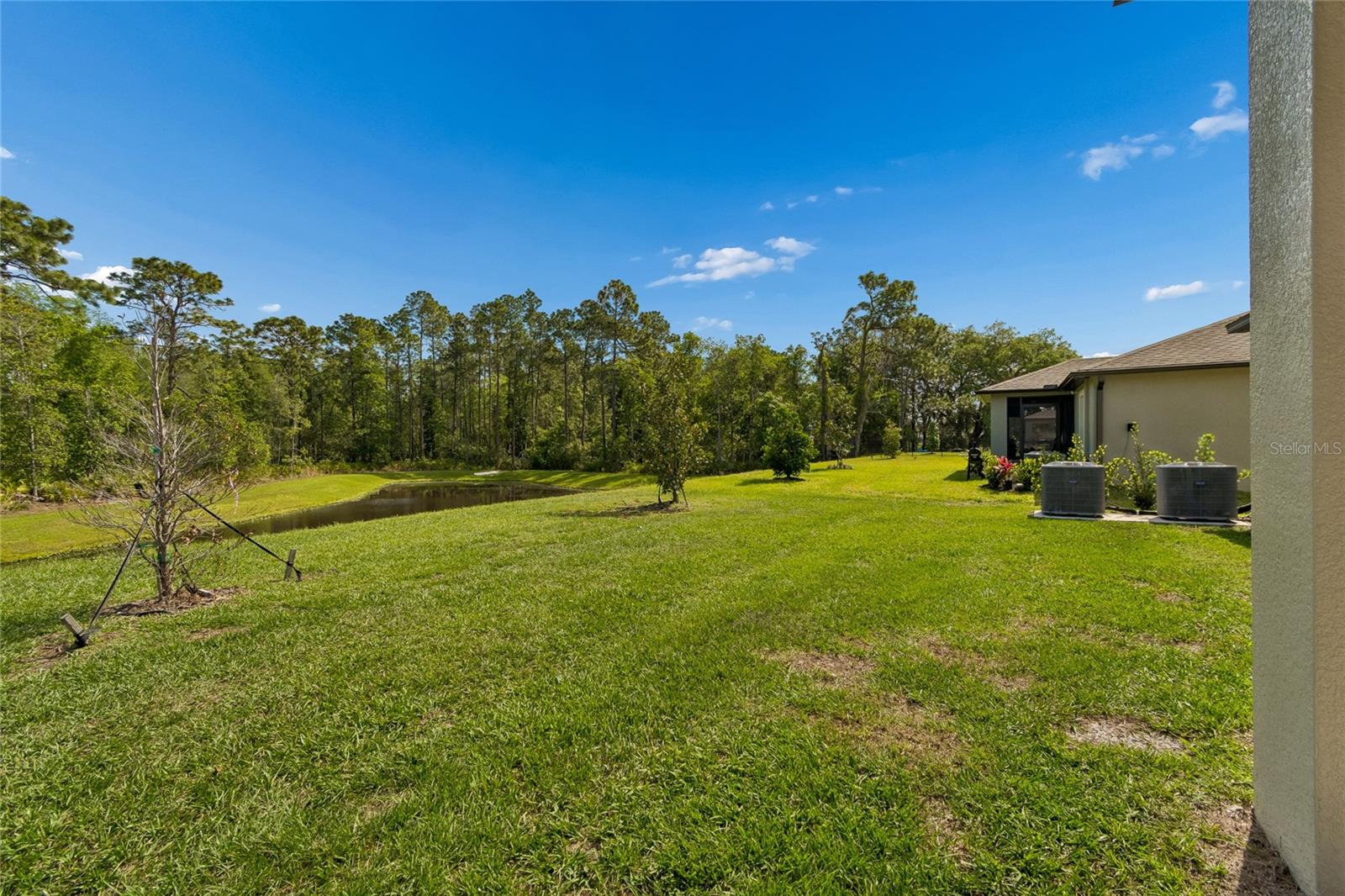 10065 GENTLE RAIN DR — photo 39