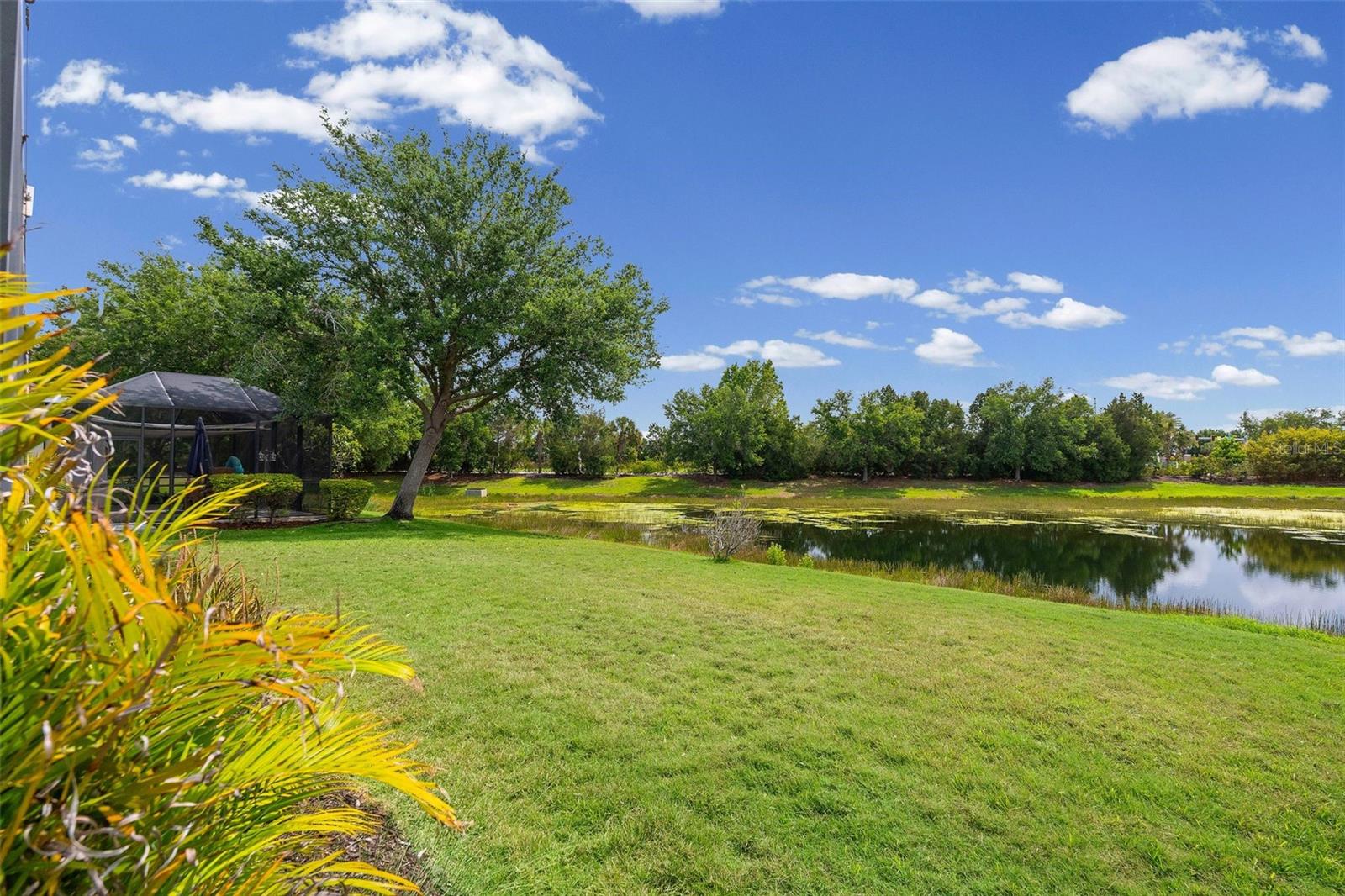11904 FOREST PARK CIR — photo 44