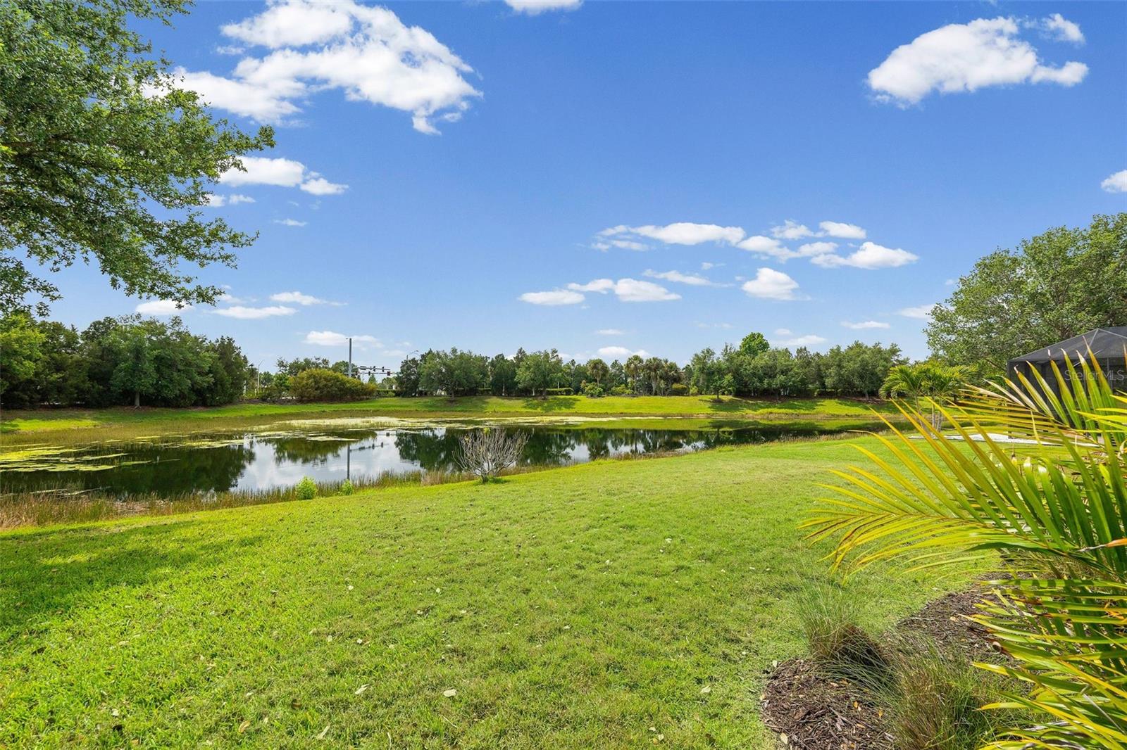 11904 FOREST PARK CIR — photo 40