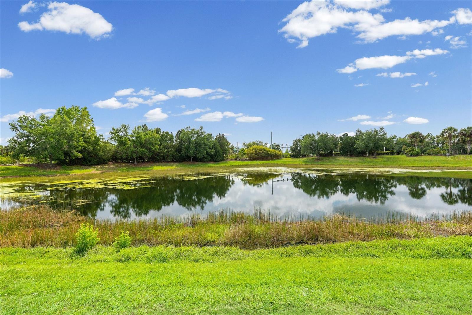 11904 FOREST PARK CIR — photo 41