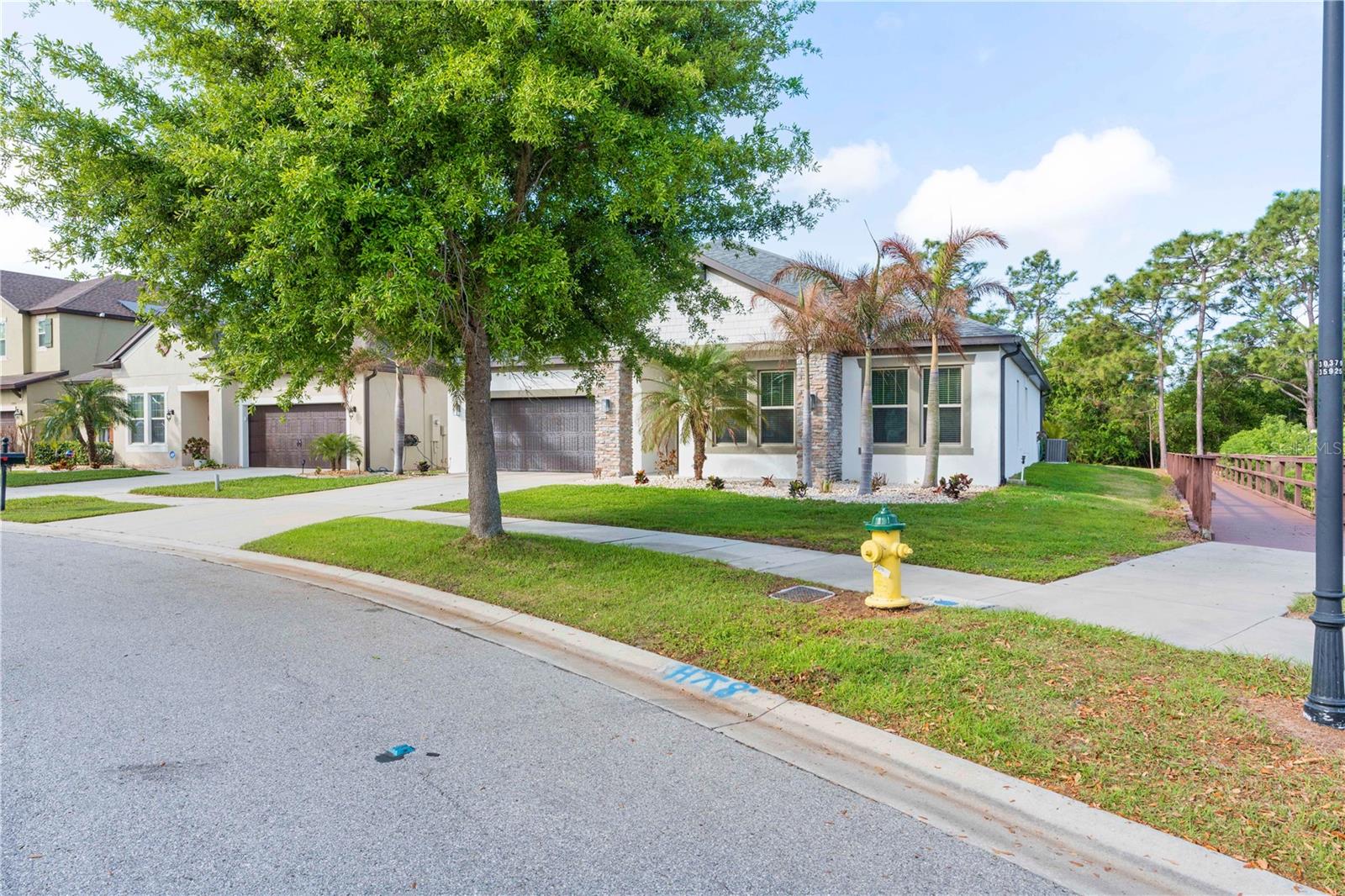 11814 CROSS VINE DR — photo 9