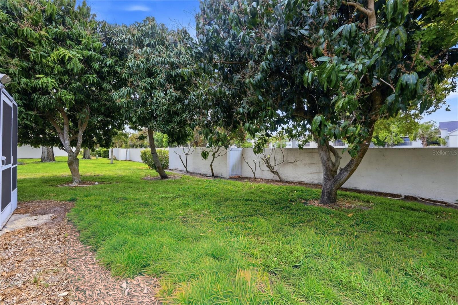 4738 DUNDEE DR — photo 35