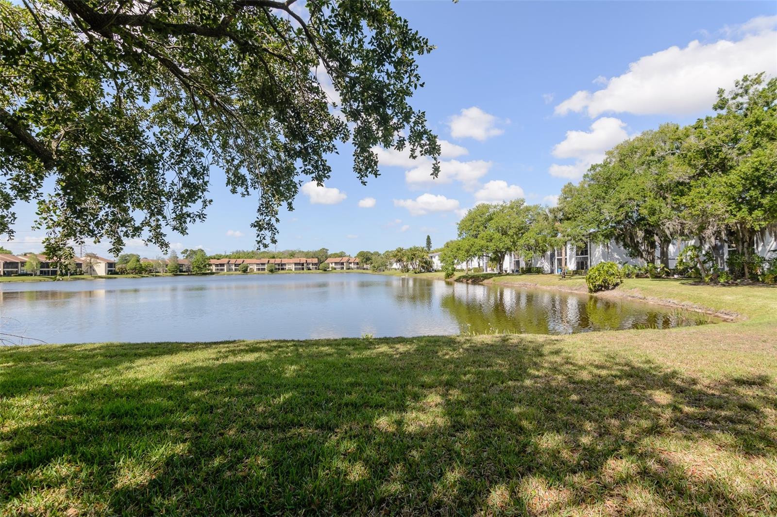 207 CYPRESS LN — photo 20
