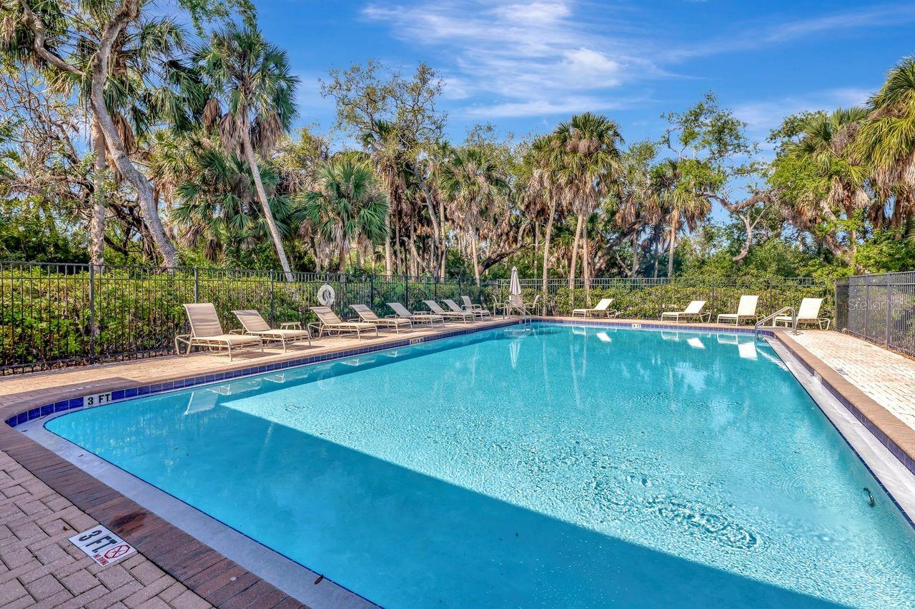 4551 TUSCAN LOON DR — photo 33