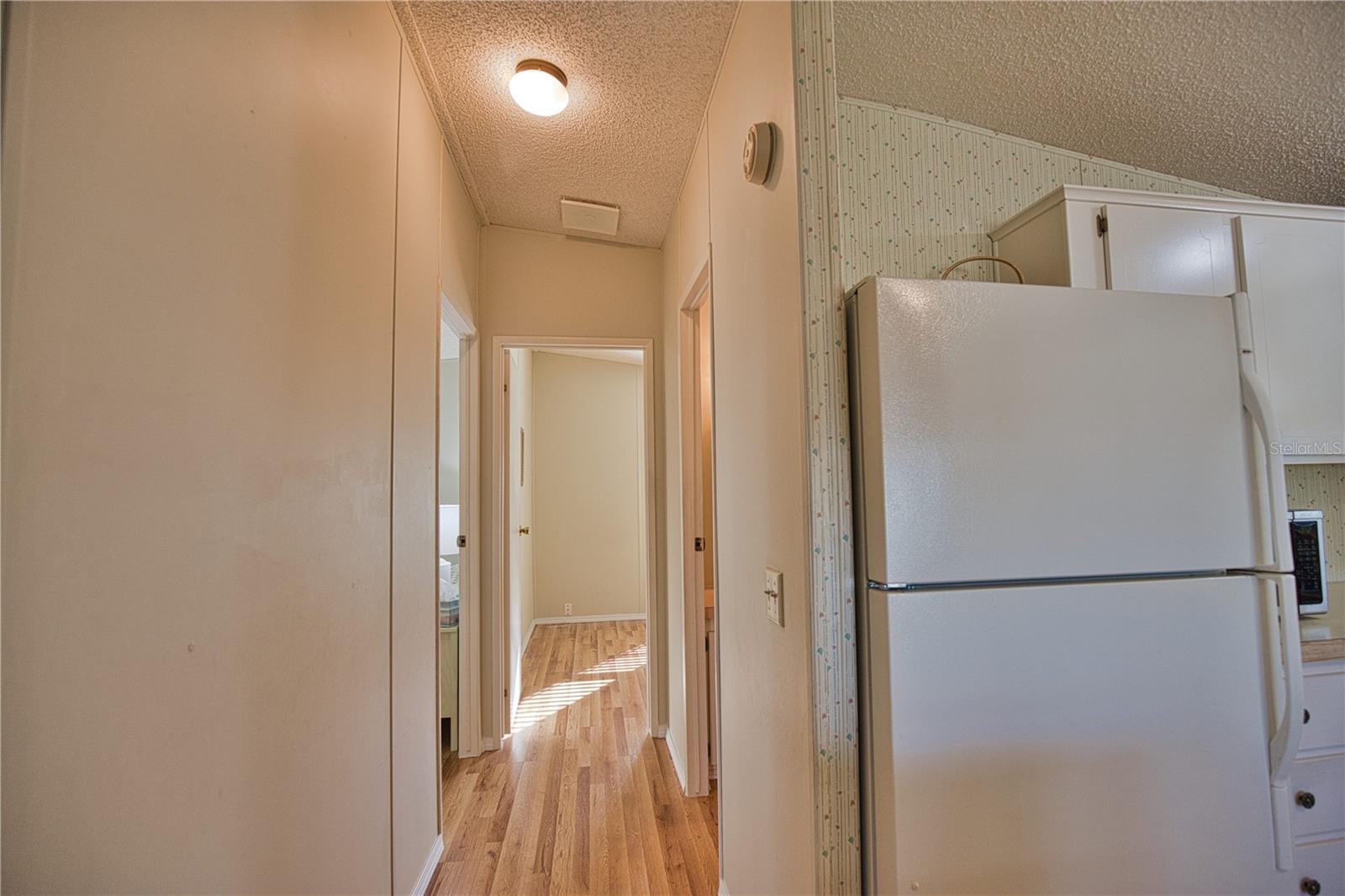 424 TARDE LOGO CIR — photo 15