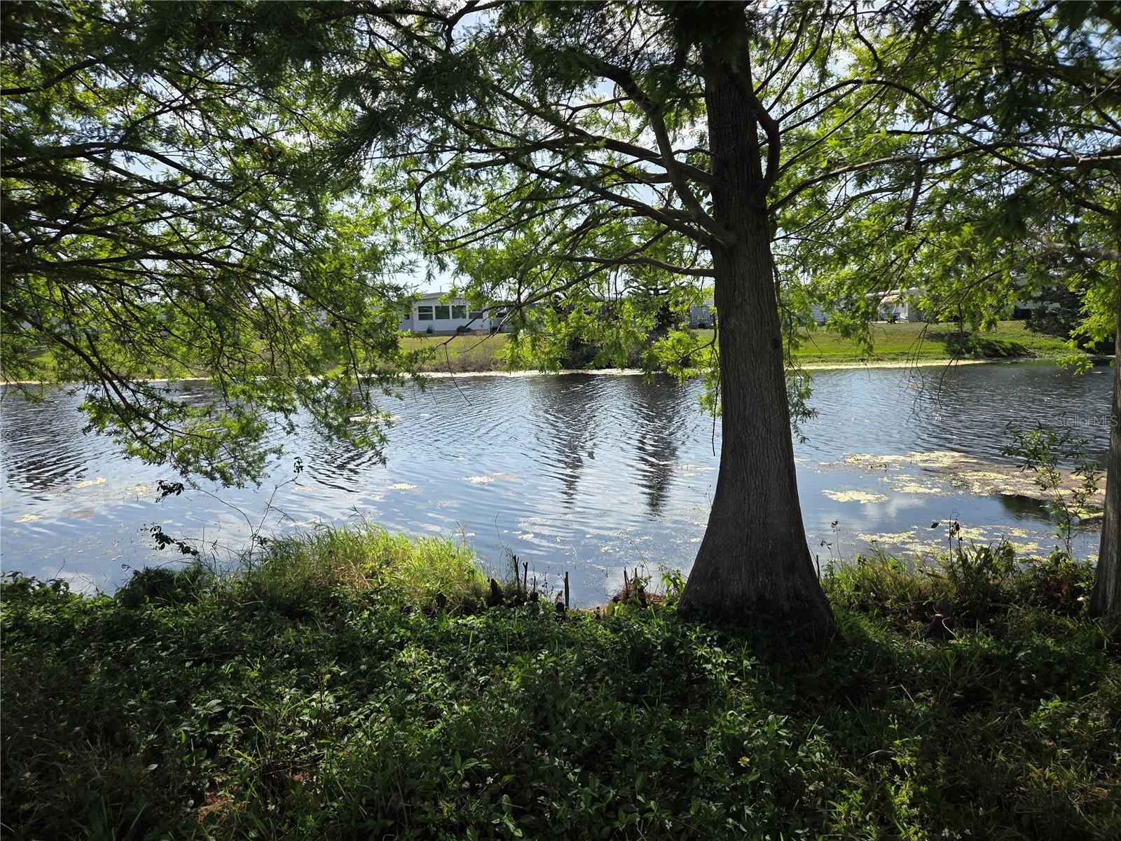 9900 ULMERTON RD #13 — photo 21