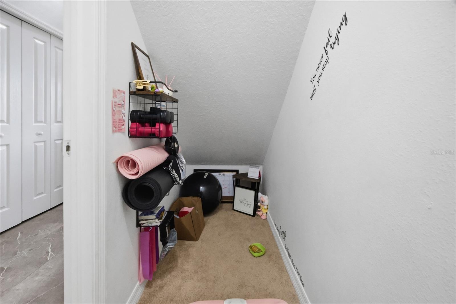 24927 PORTOFINO DR — photo 31