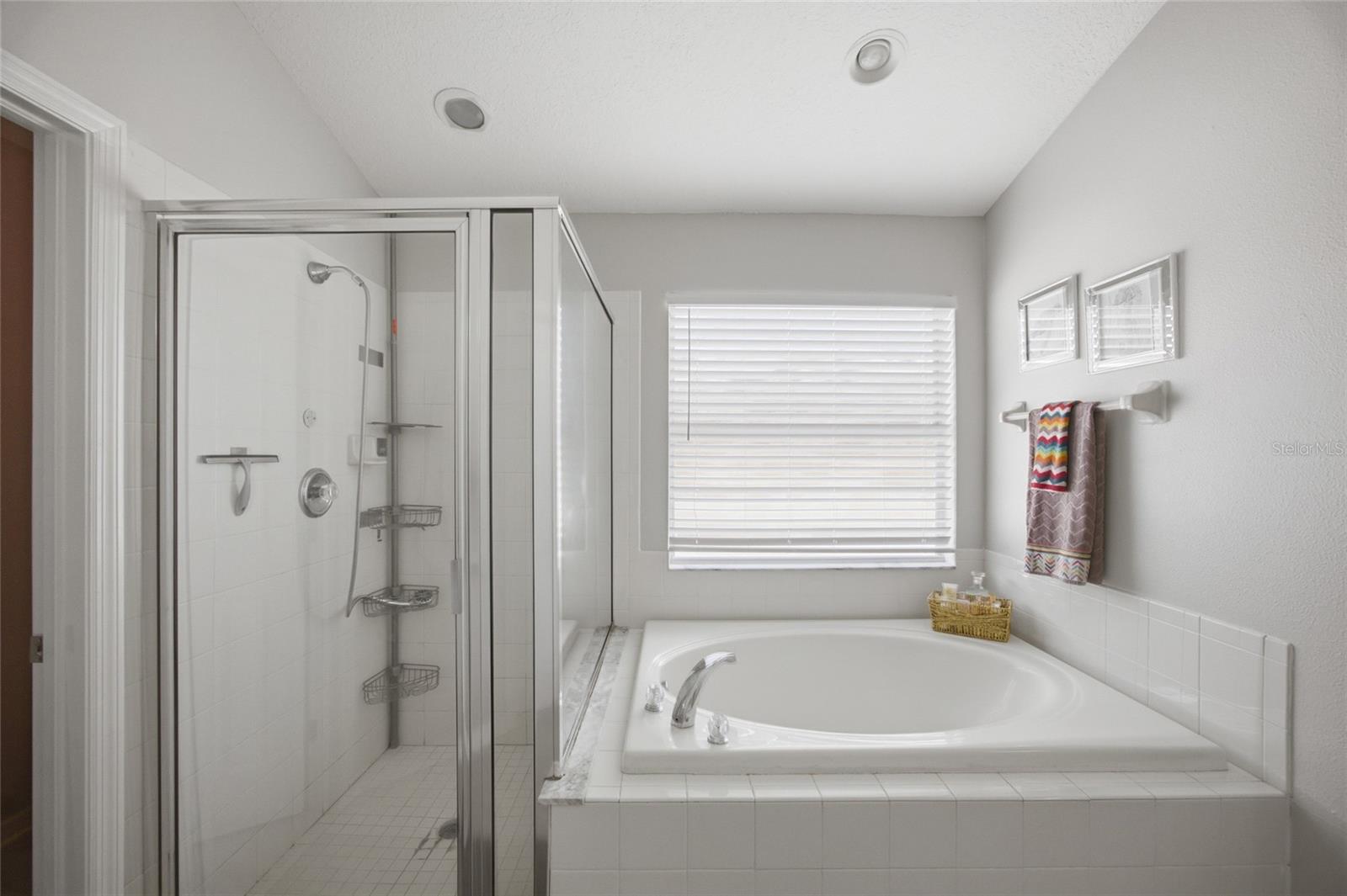 24927 PORTOFINO DR — photo 20