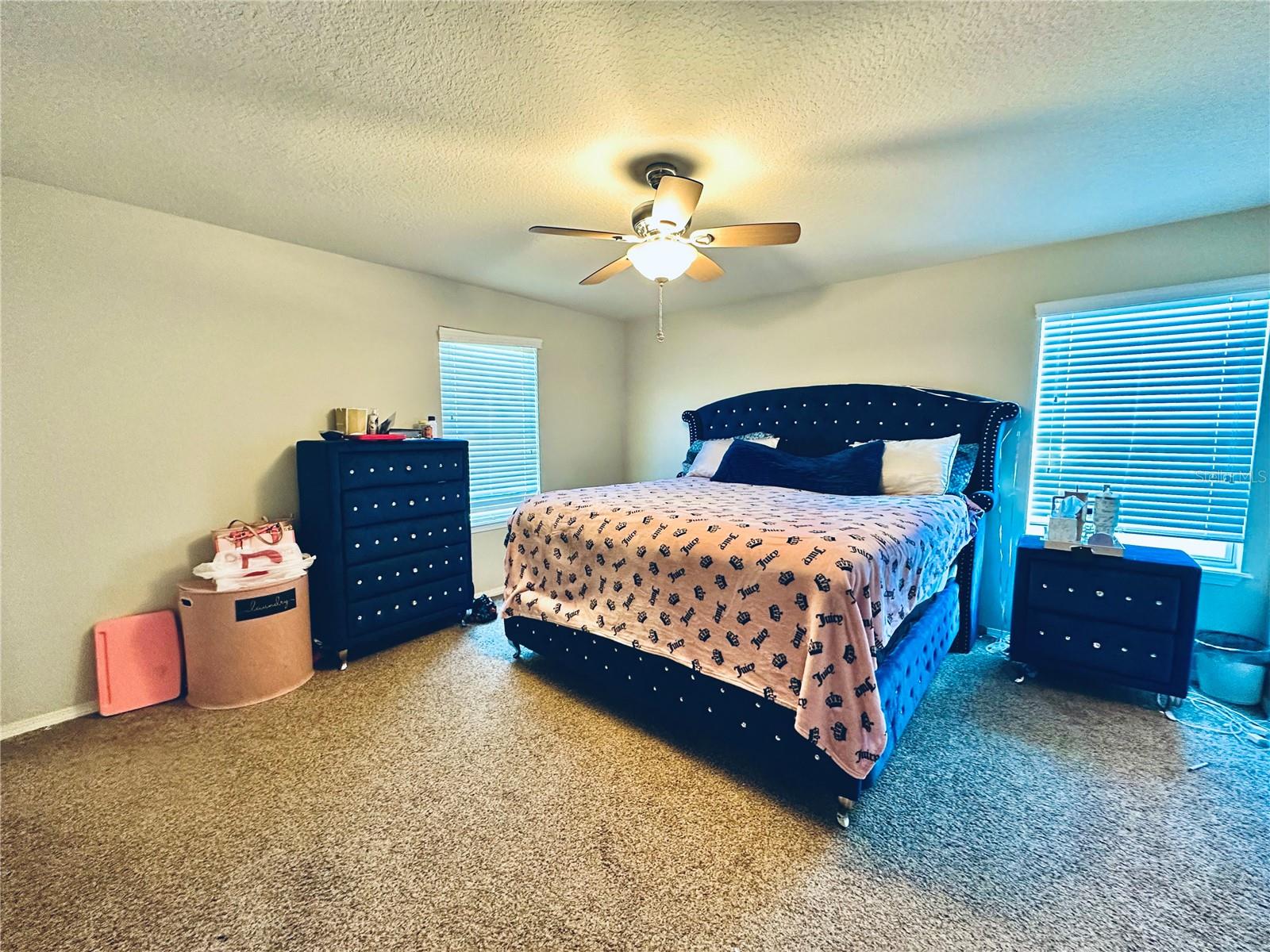 4411 BANYAN TREE PL — photo 13