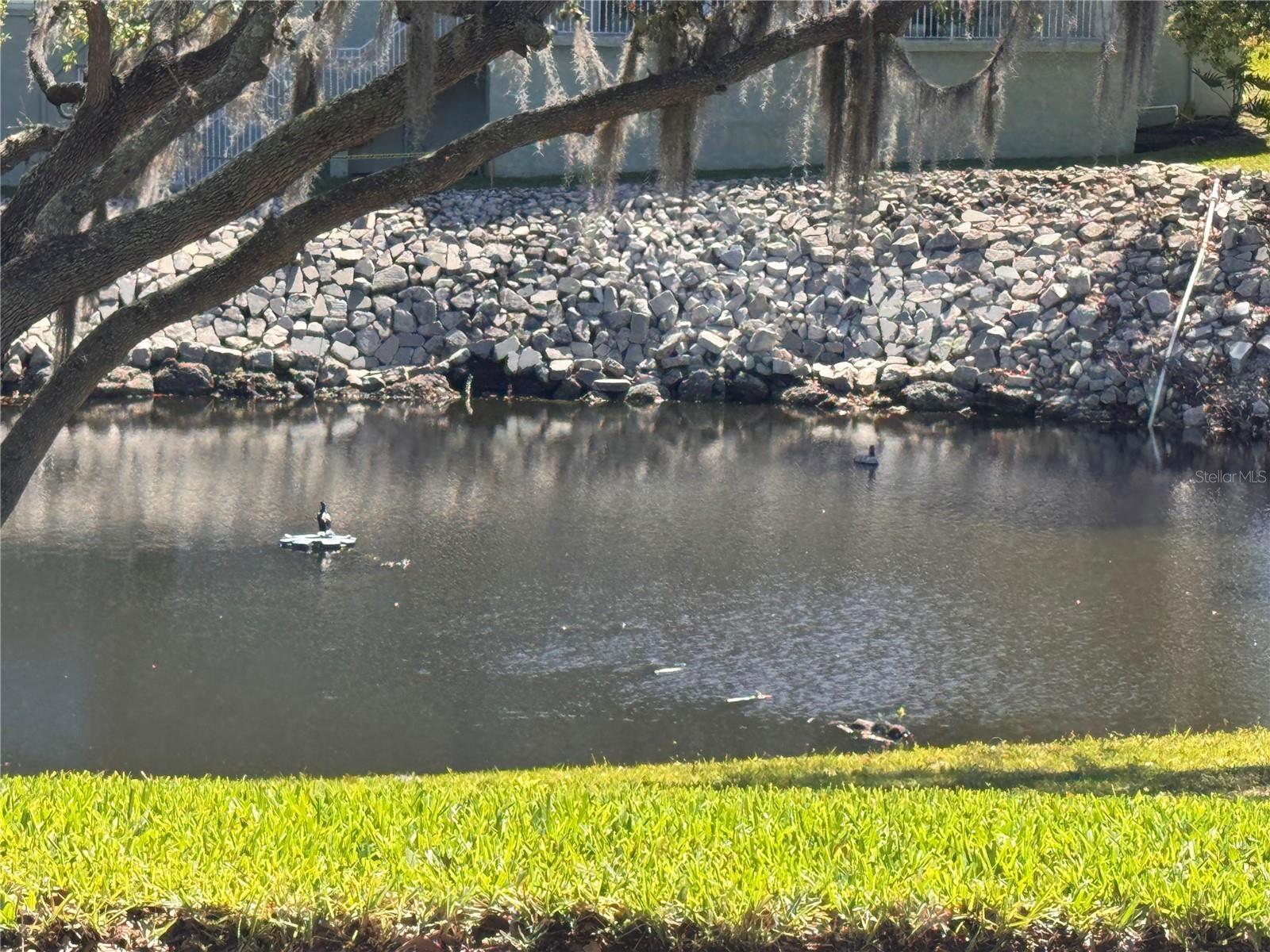 1250 S PINELLAS AVE #804 — photo 41