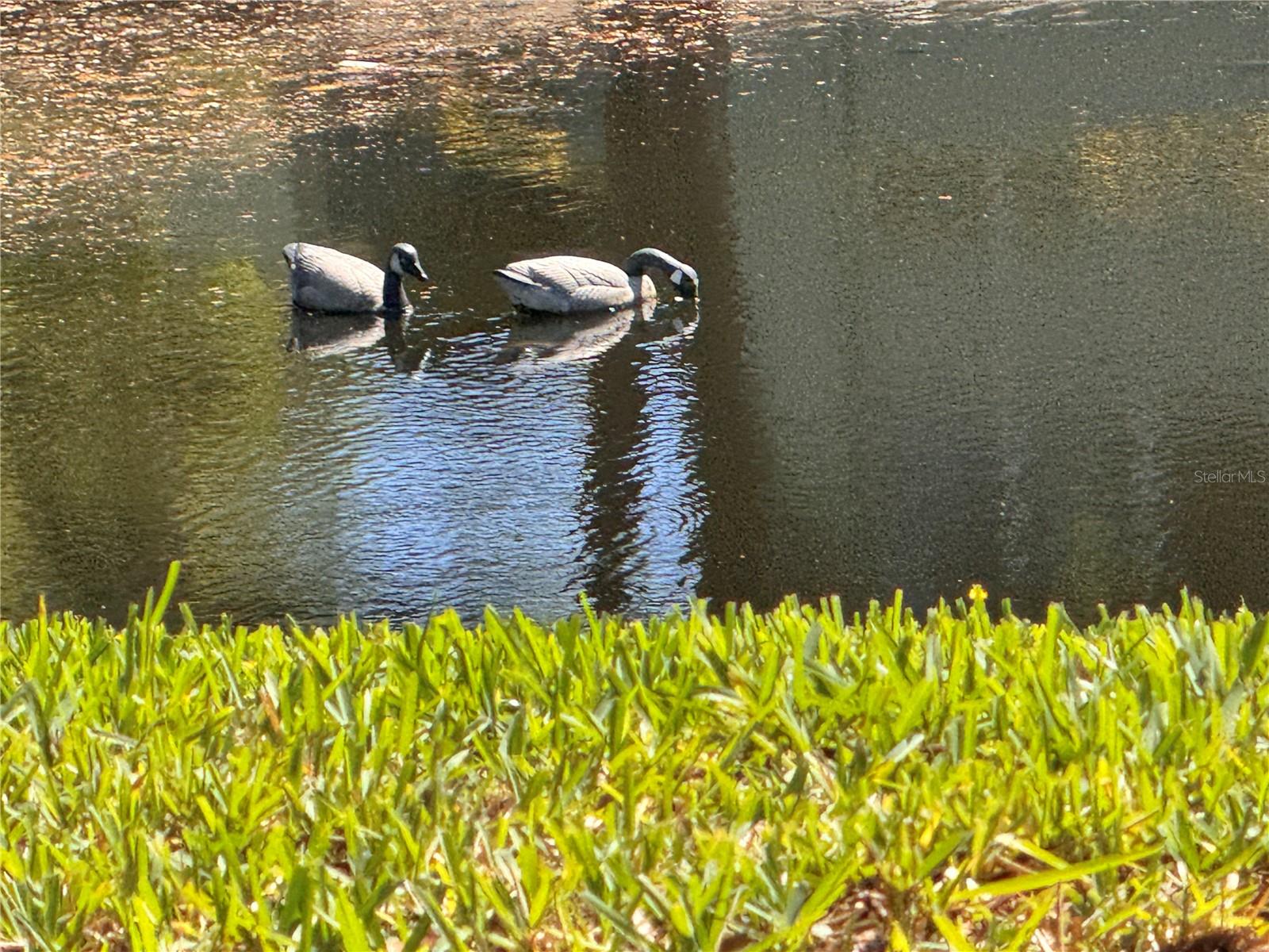 1250 S PINELLAS AVE #804 — photo 38