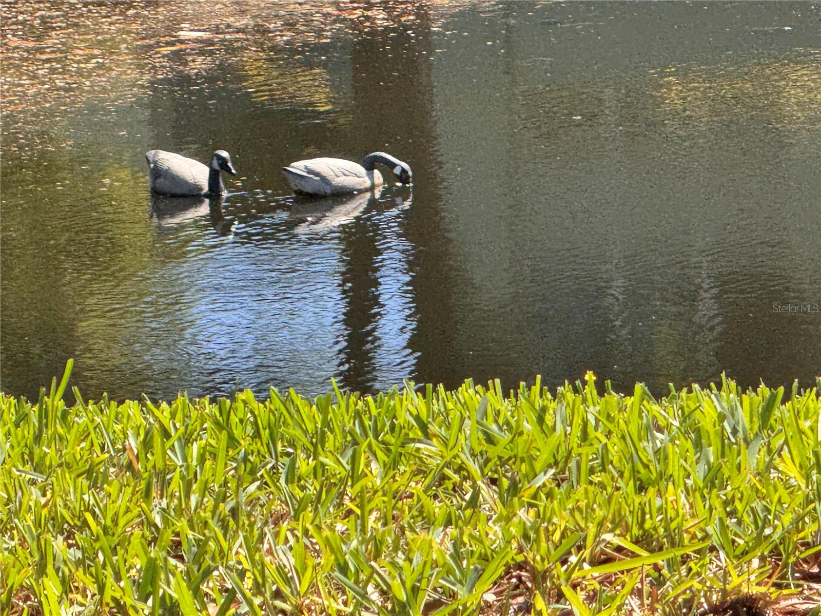 1250 S PINELLAS AVE #804 — photo 37