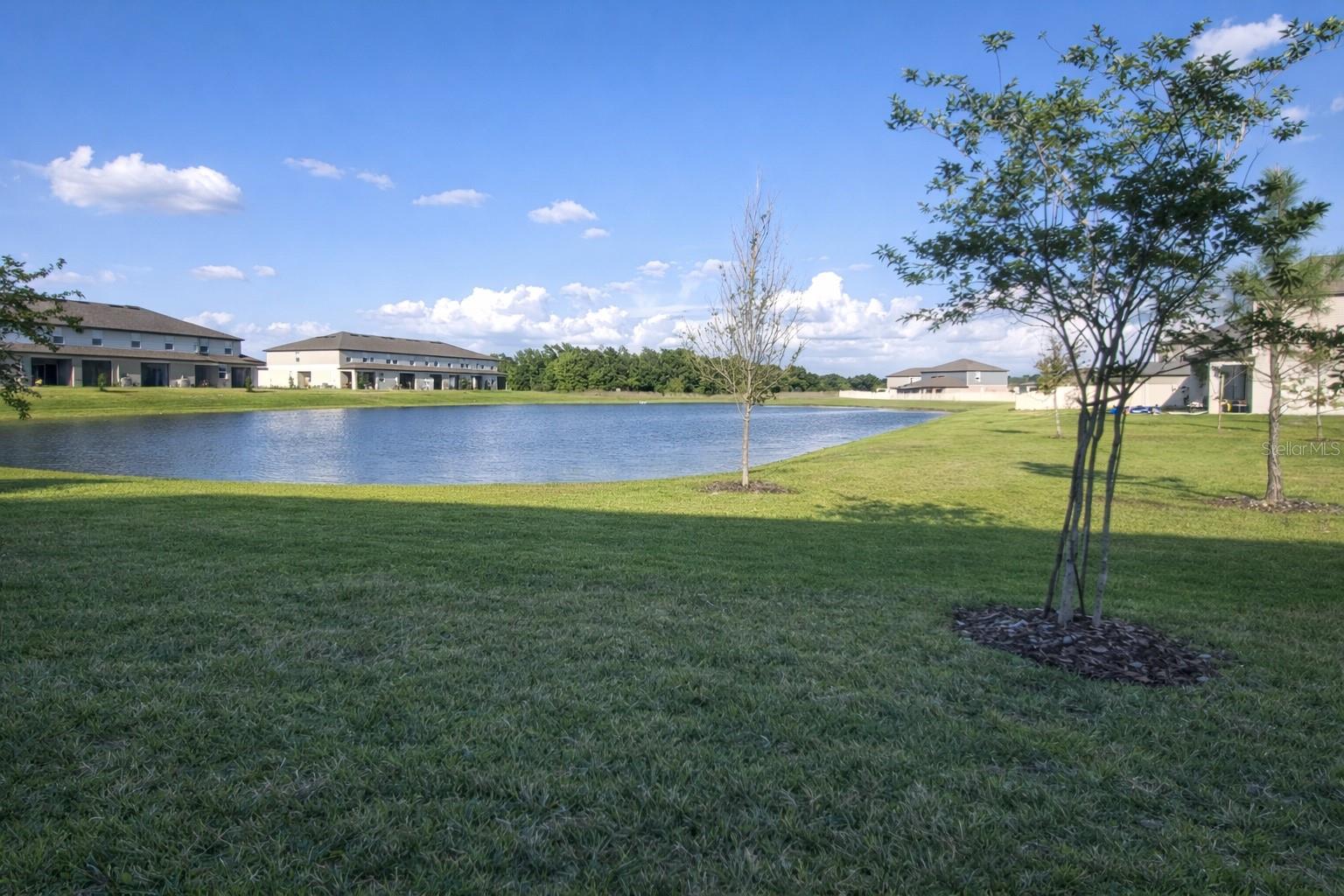 12420 CRYSTAL JADE WAY — photo 3