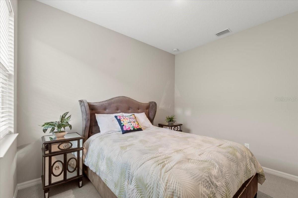 188 DAYLILY BLVD — photo 24