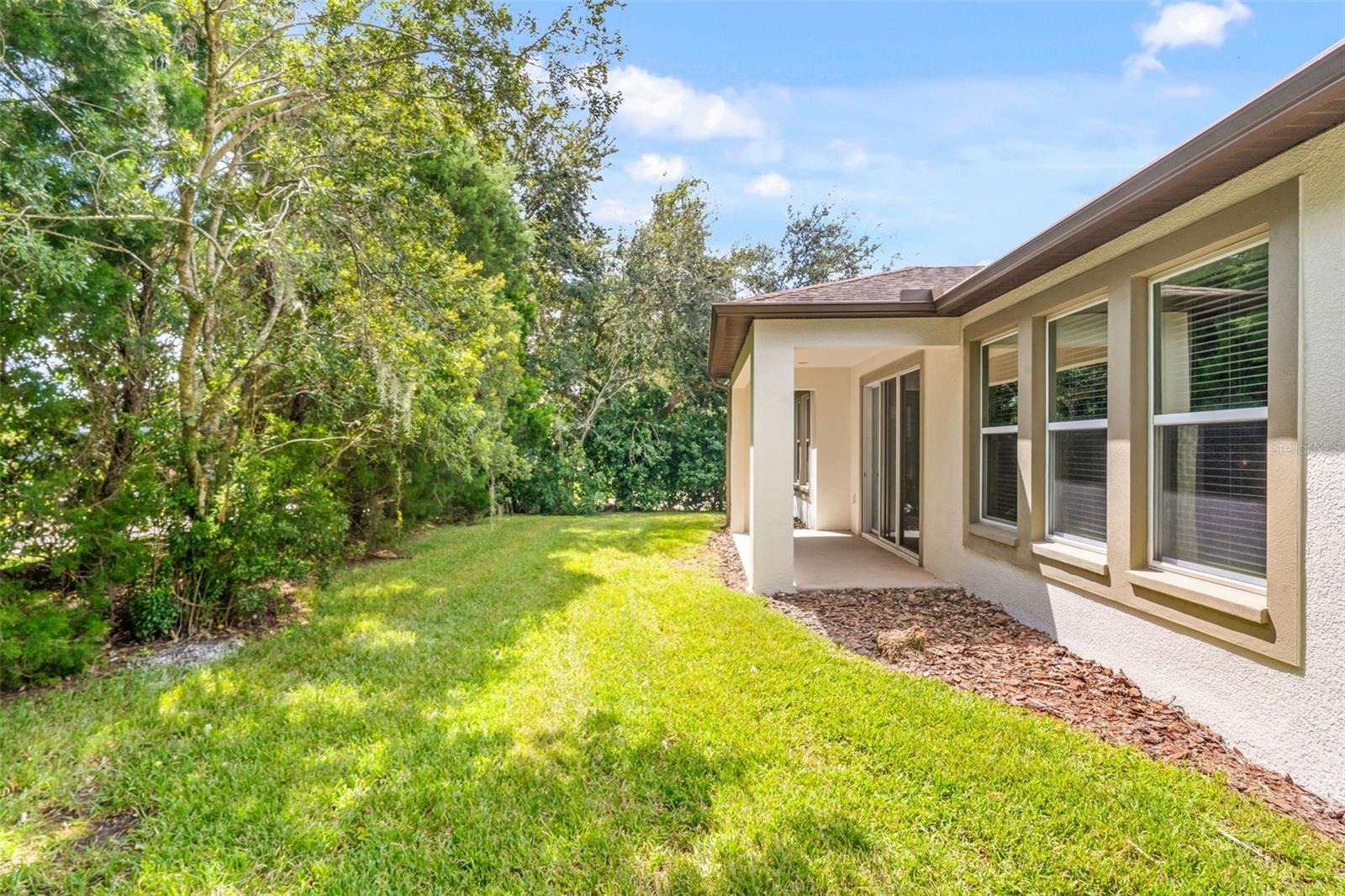 4432 VERMILLION SKY DR — photo 5