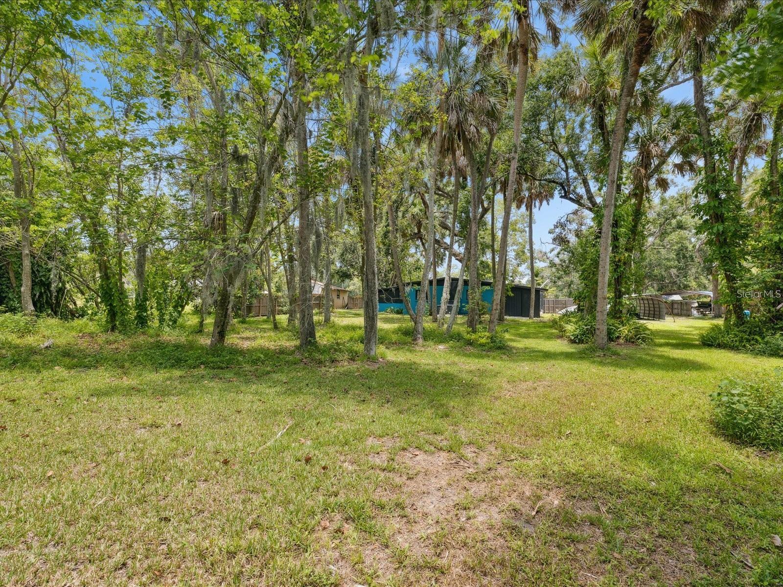 6440 RICHARDSON RD — photo 6