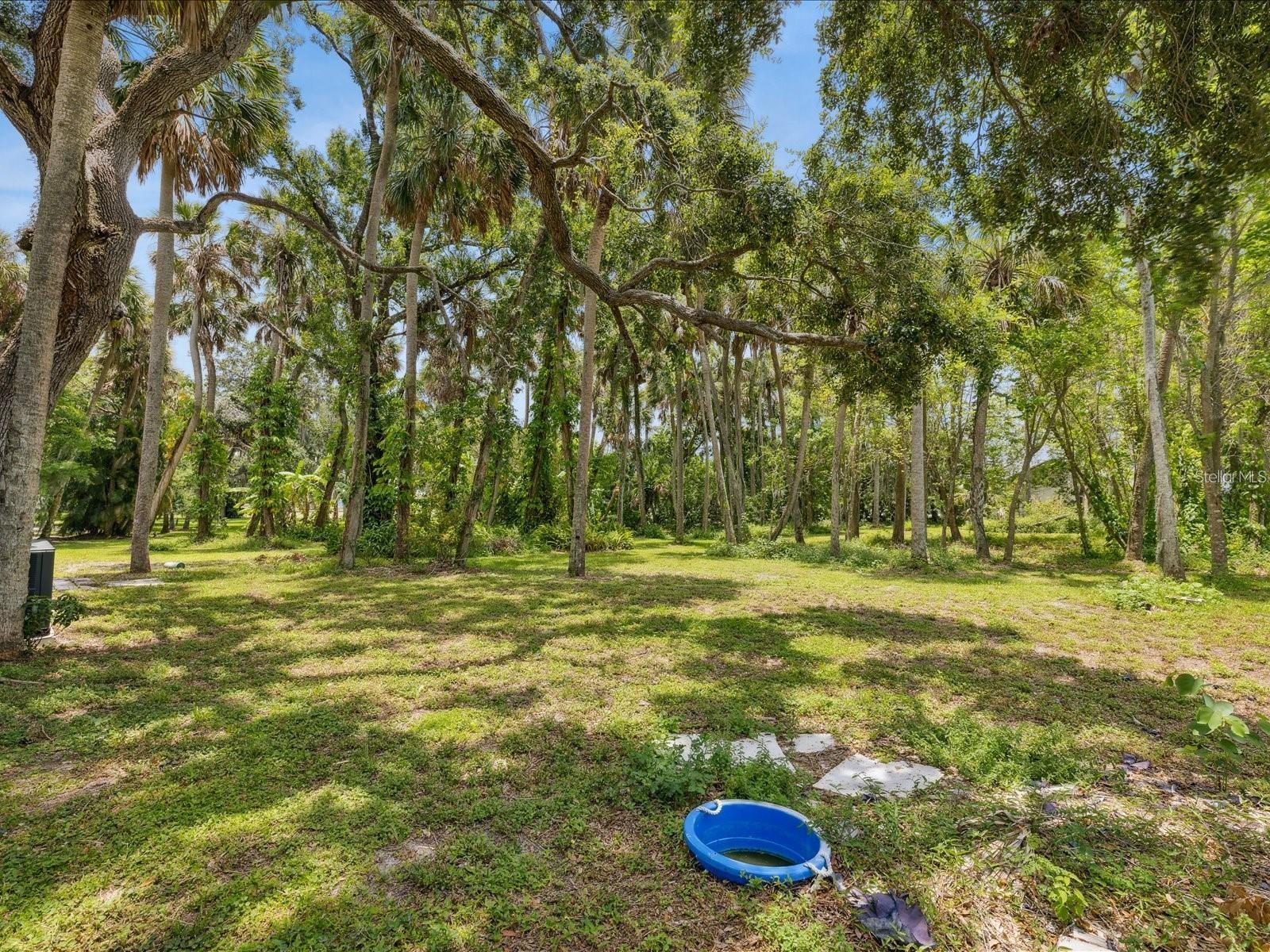 6440 RICHARDSON RD — photo 5