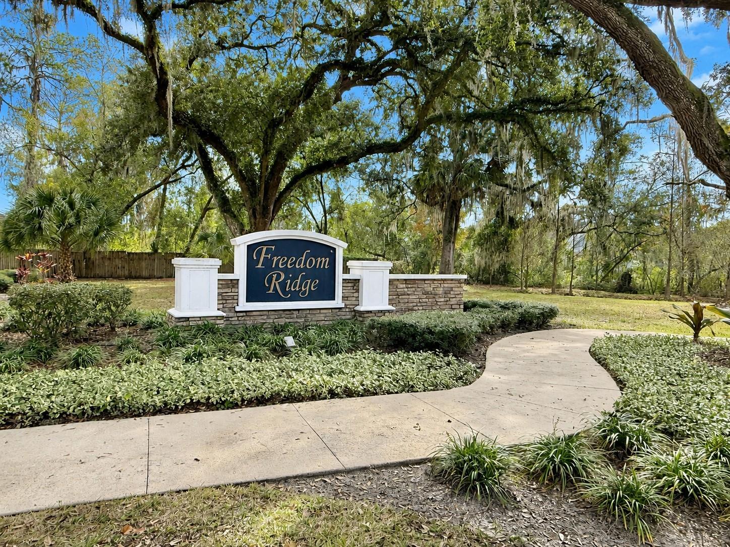 9242 FREEDOM HILL DR — photo 44