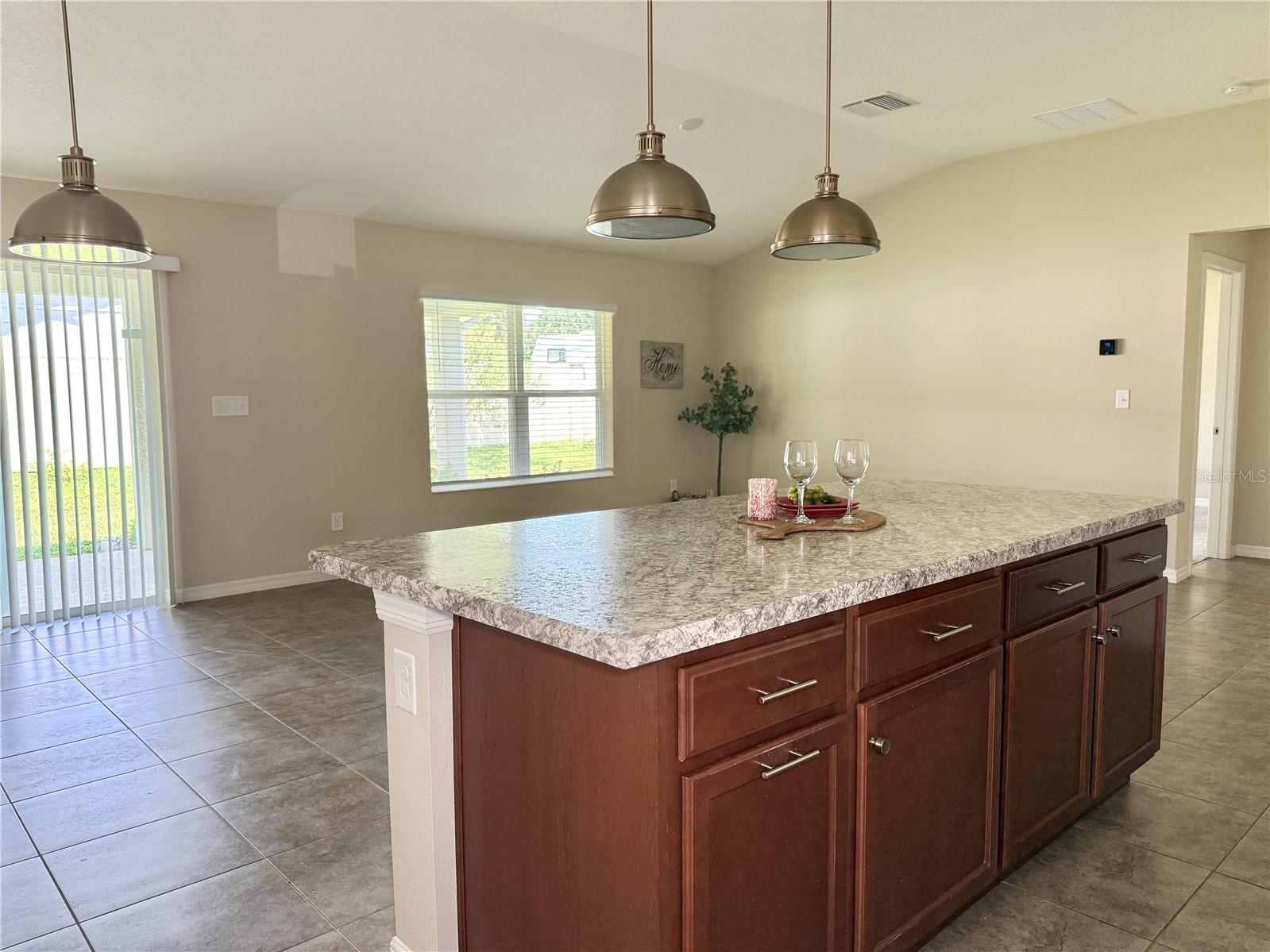 9242 FREEDOM HILL DR — photo 12