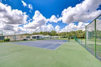 35151 COLONY HILLS DR — photo 55