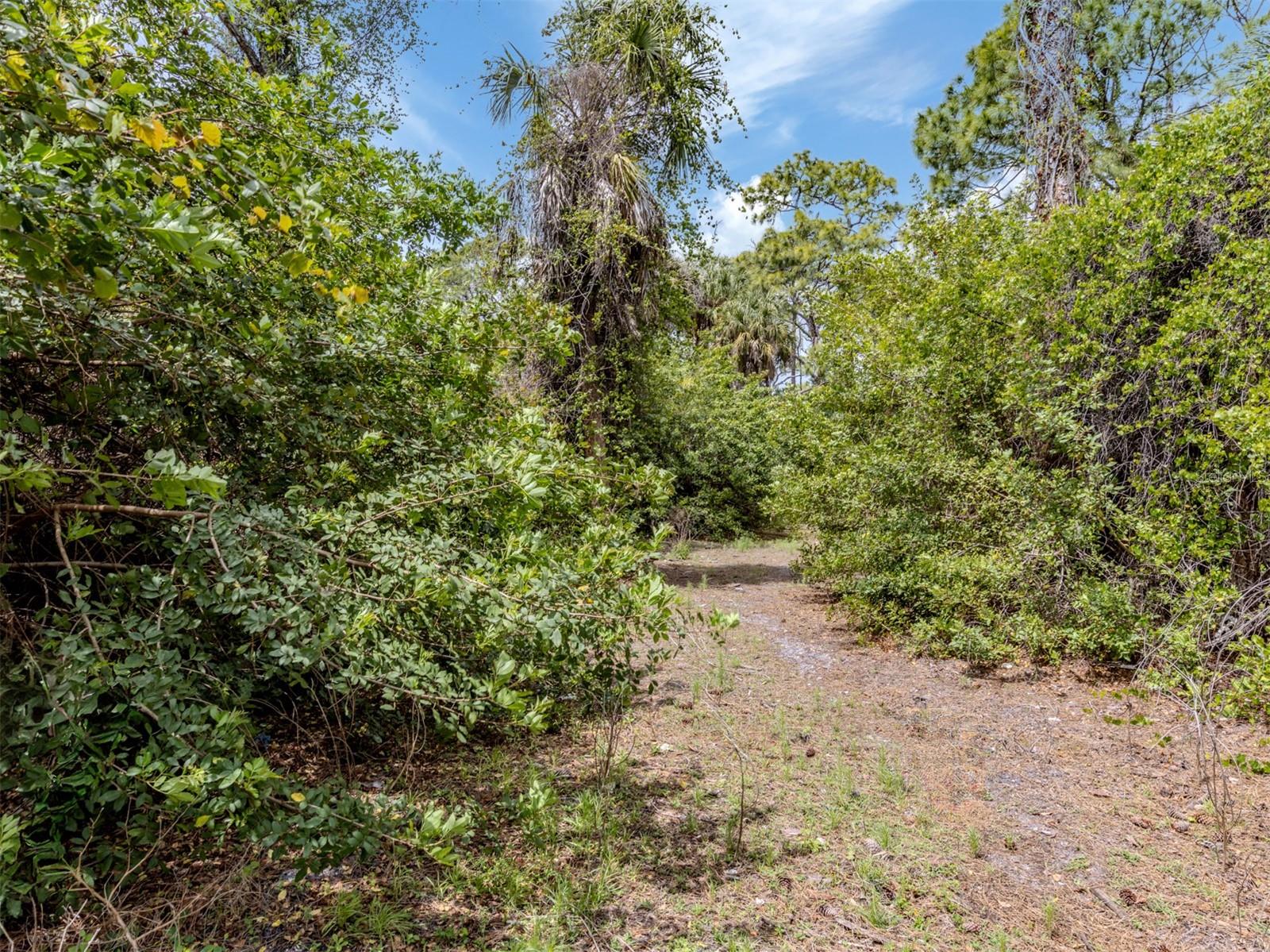 400 S HAVANA RD — photo 19