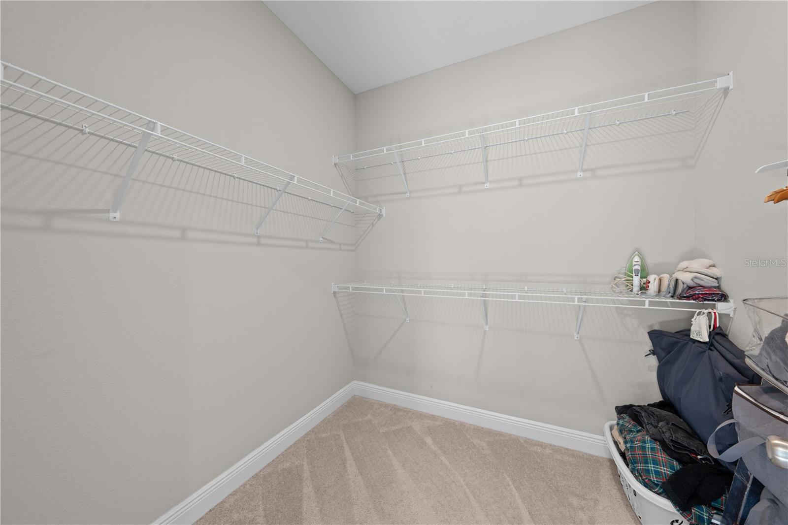 31041 JAZZ LEAF PL — photo 39
