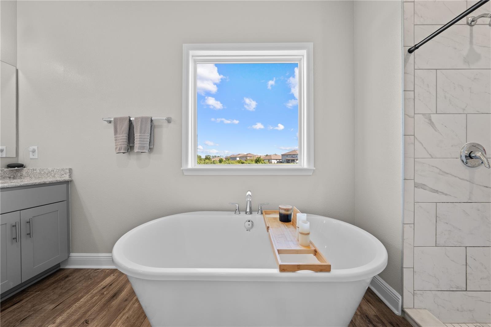 31041 JAZZ LEAF PL — photo 35
