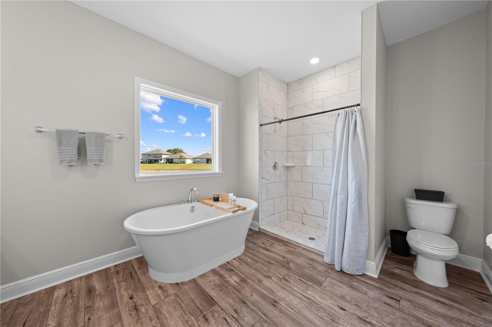 31041 JAZZ LEAF PL — photo 43