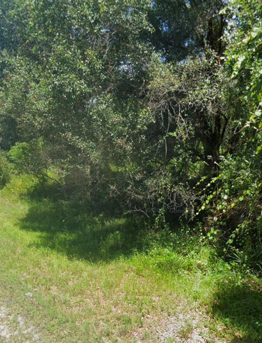BANGAR LN — photo 2
