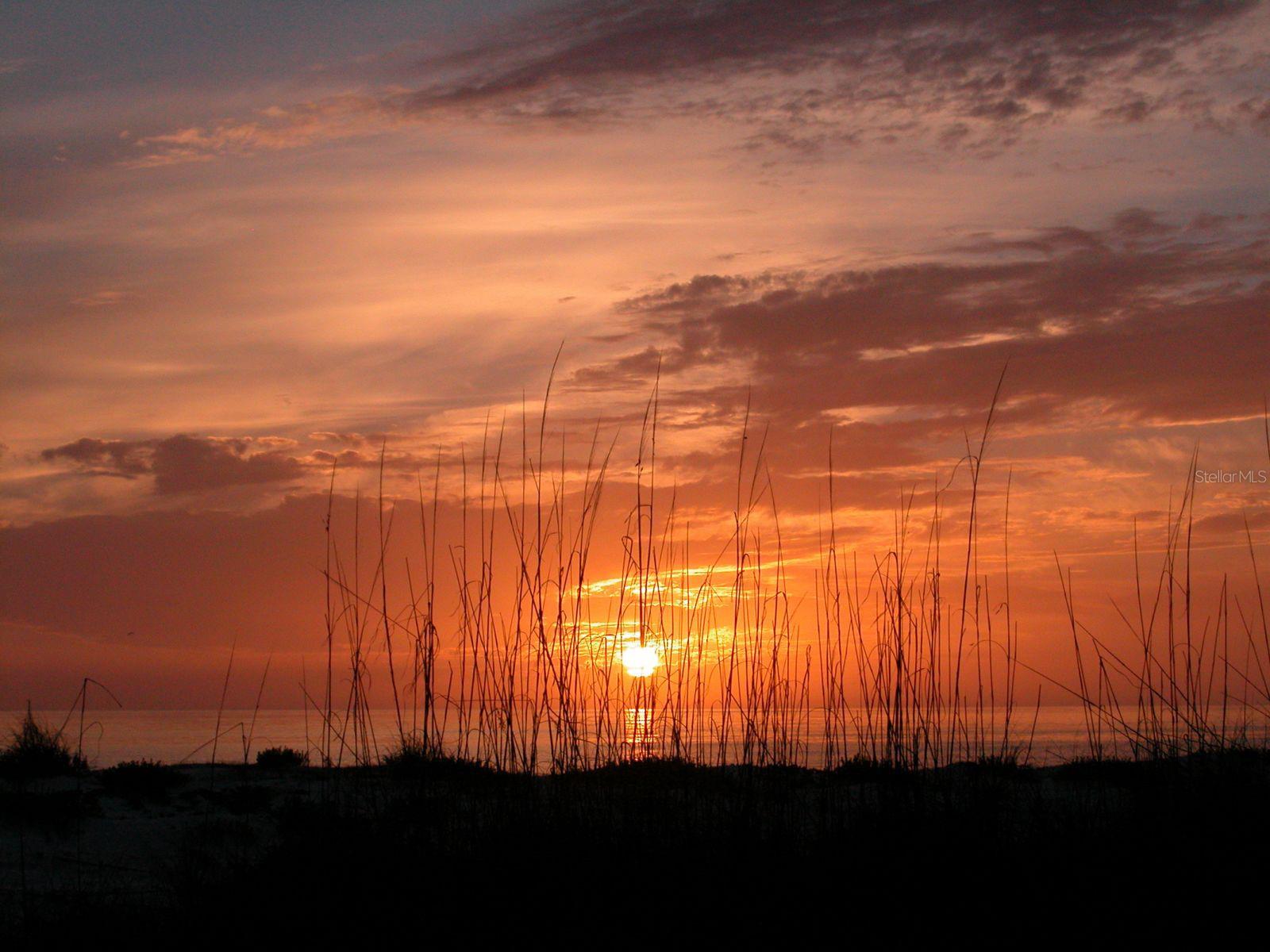 Home in LONGBOAT KEY — photo 61